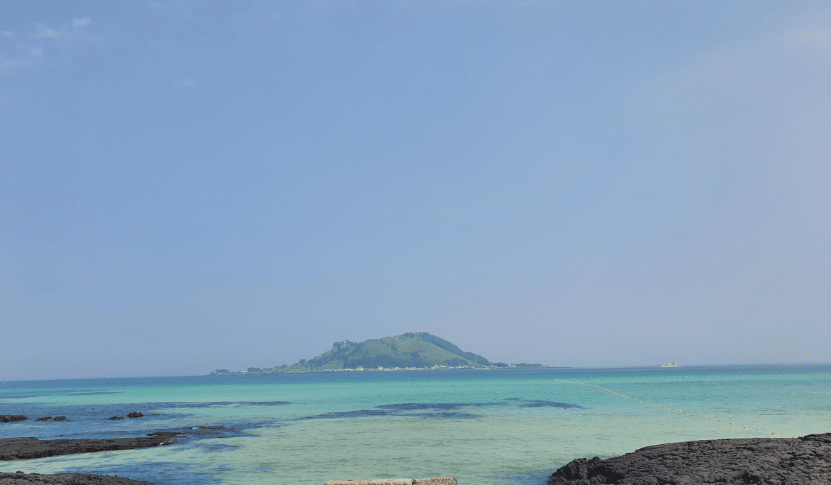 제주_땡처리_항공권_13