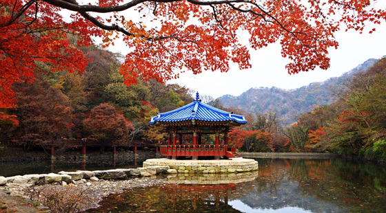alt="단풍"
