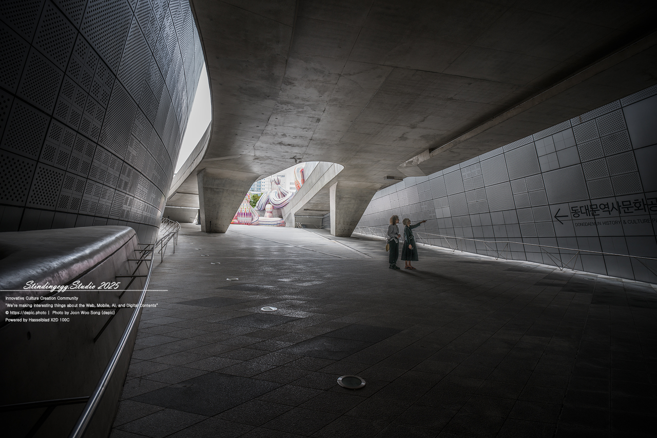 #서울 #동대문디자인플라자 #패션 #디자인 #DDP