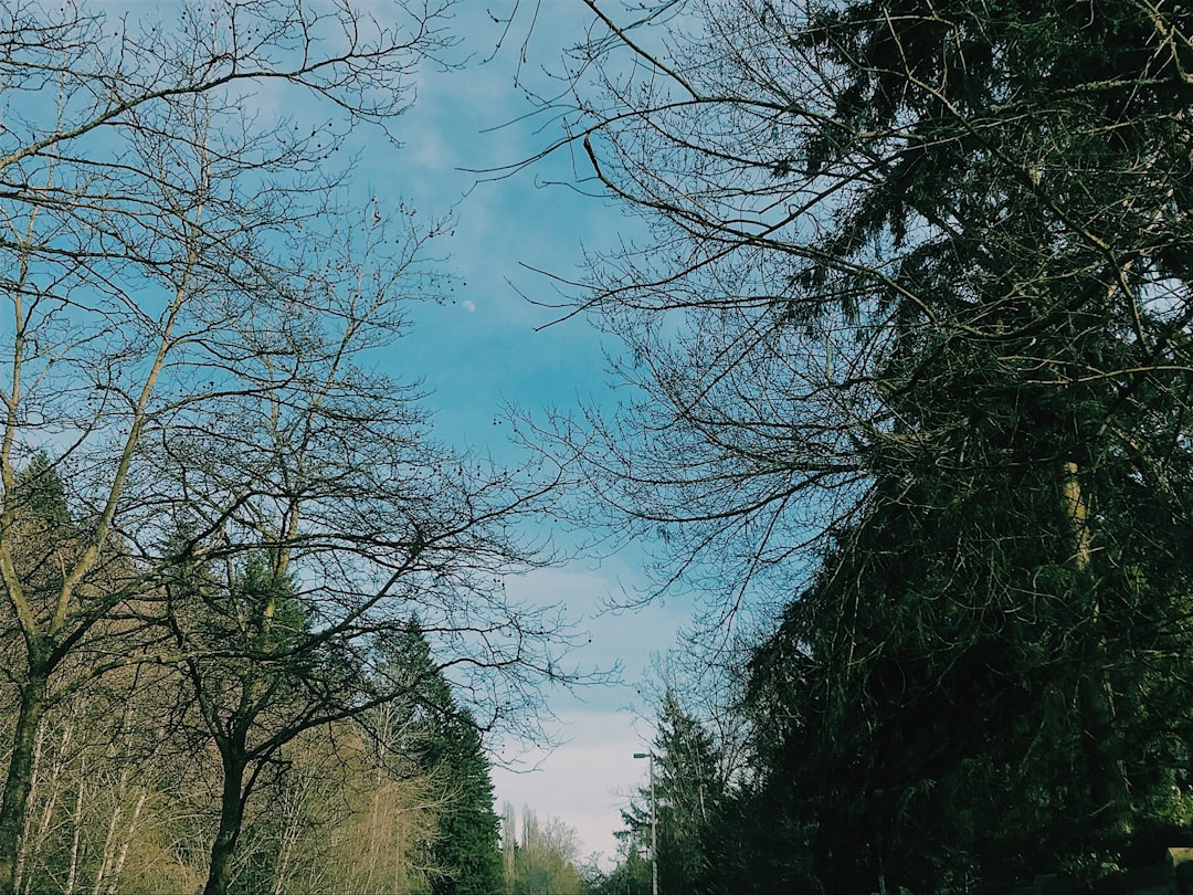 Withdrawal.