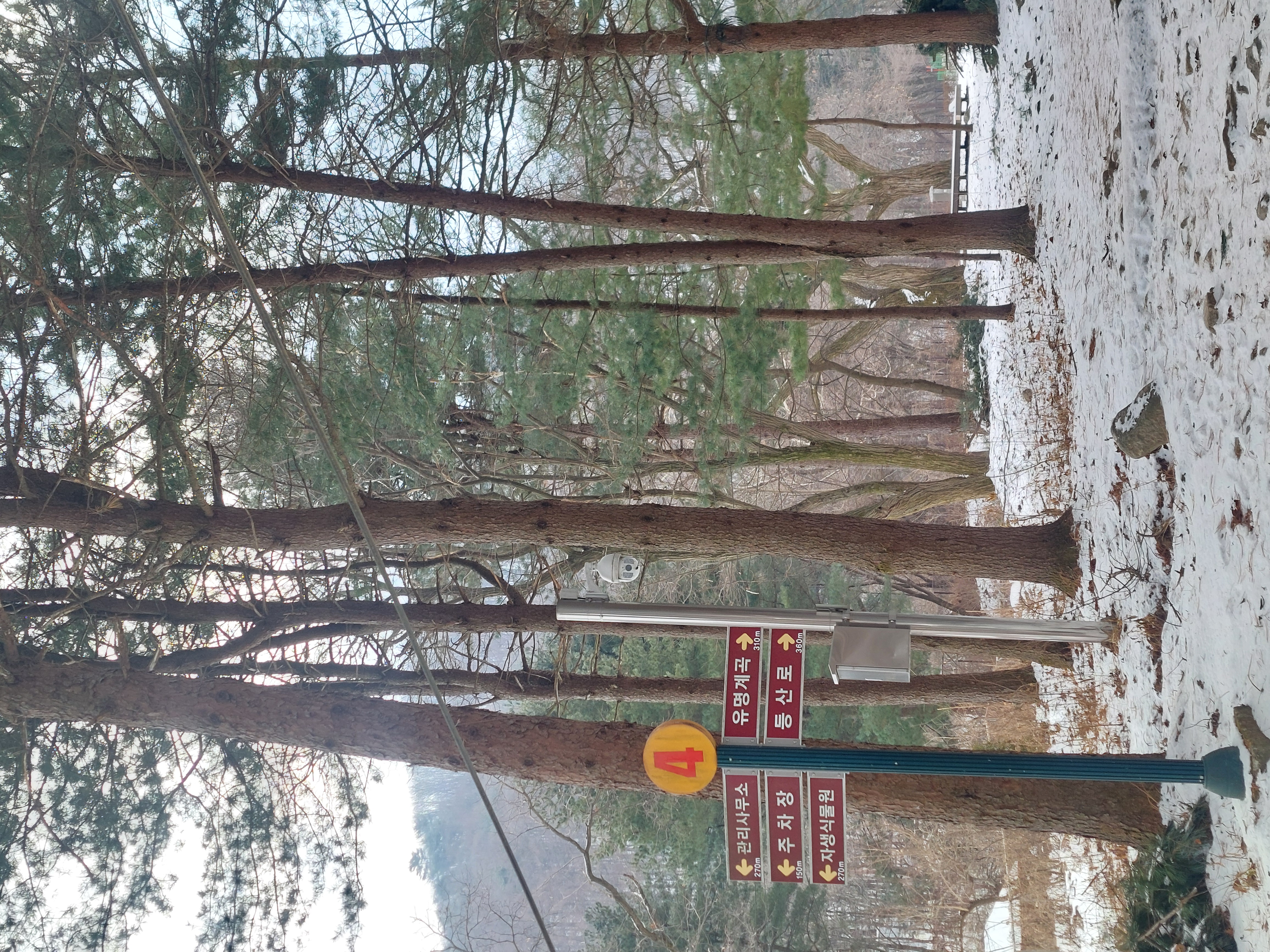 유명산