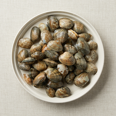 조개의 종류: 바지락