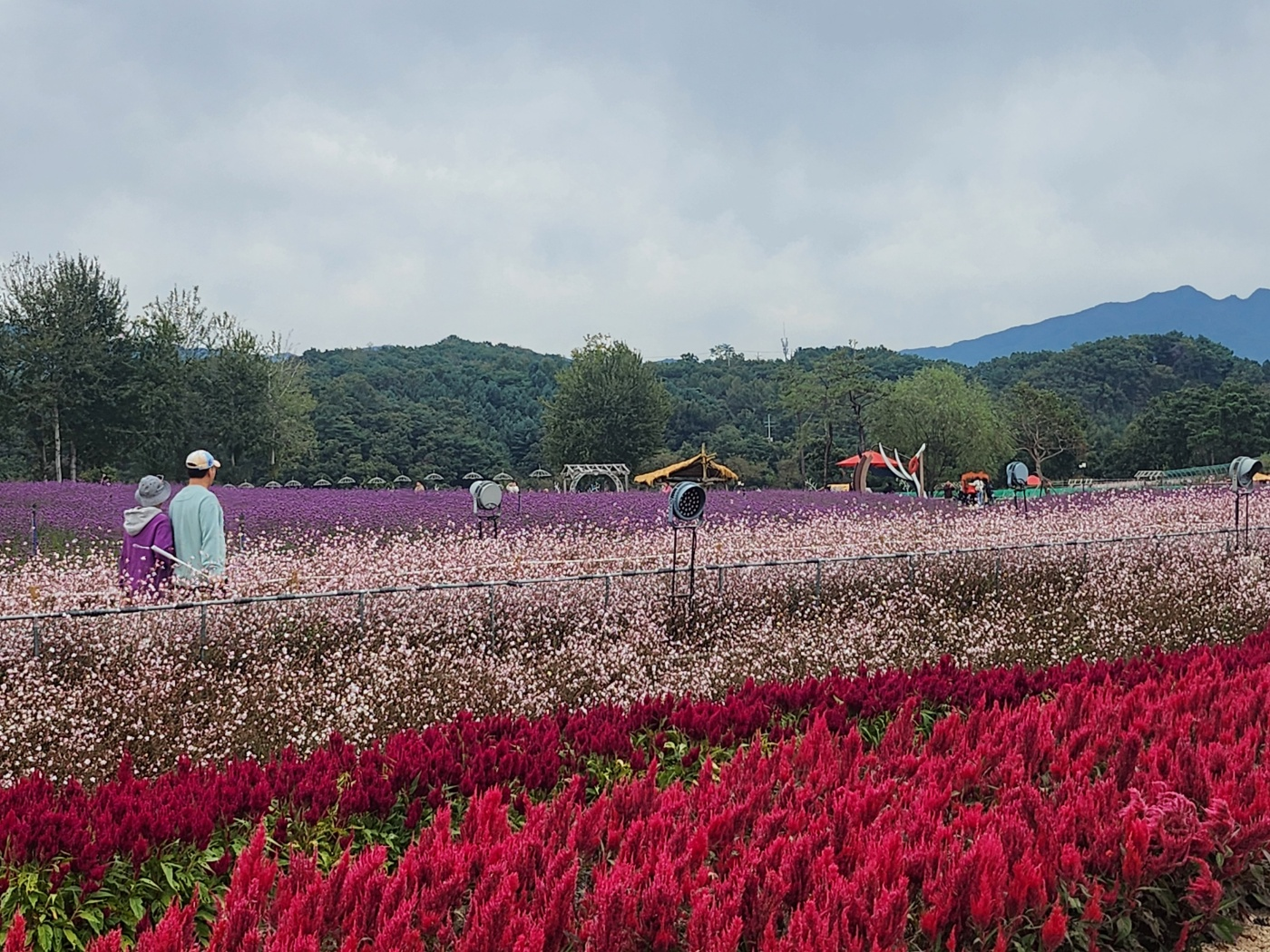 철원고석정꽃밭가을축제
