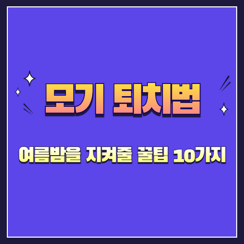 모기 퇴치법 총정리 여름밤을 지켜줄 꿀팁 10가지