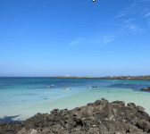 제주도 비행기표 싸게 사는법