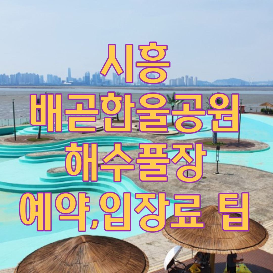 배곧한울공원 해수풀장