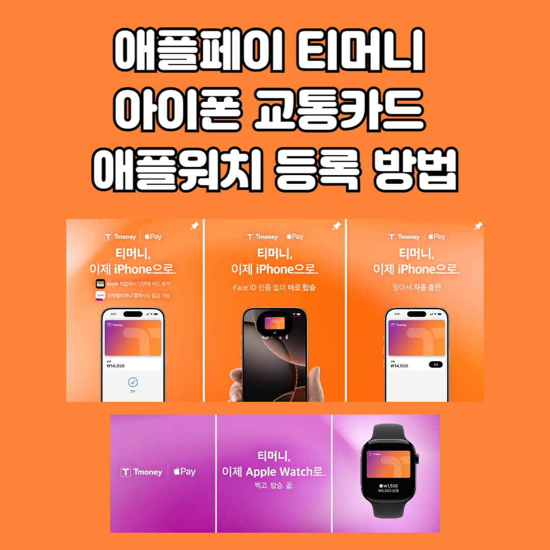 티머니 (애플페이) 홈페이지 바로가기