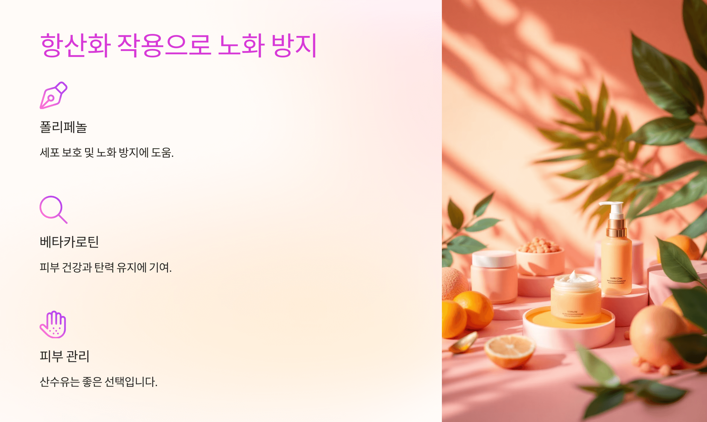 산수유 효능과 관련된 사진입니다.