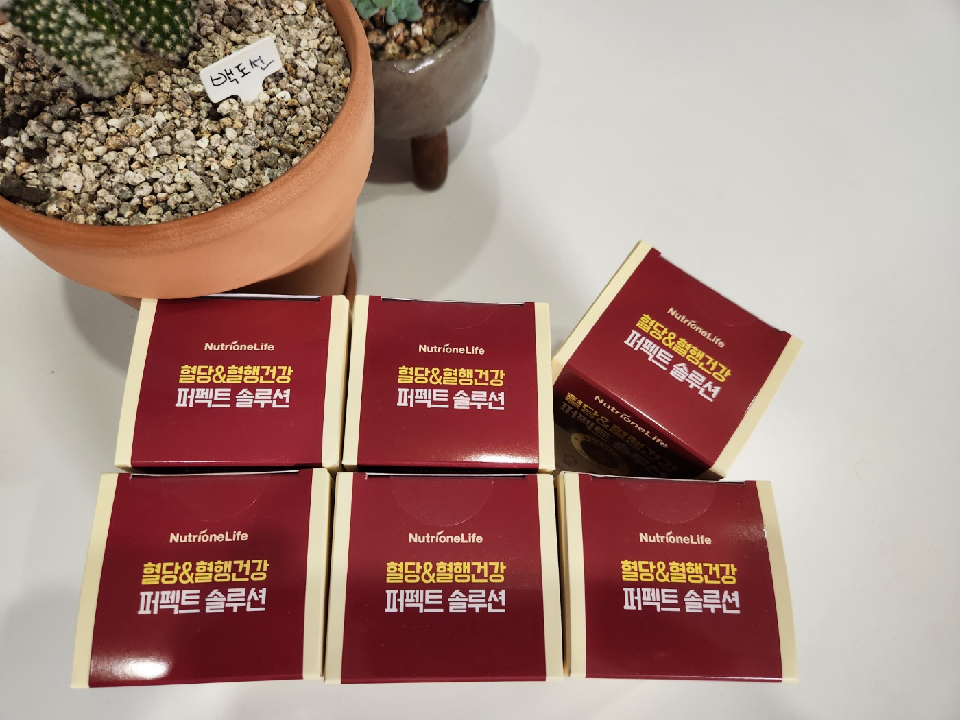 혈당, 혈액순환 영양제 뉴트리원 퍼펙트 솔루션