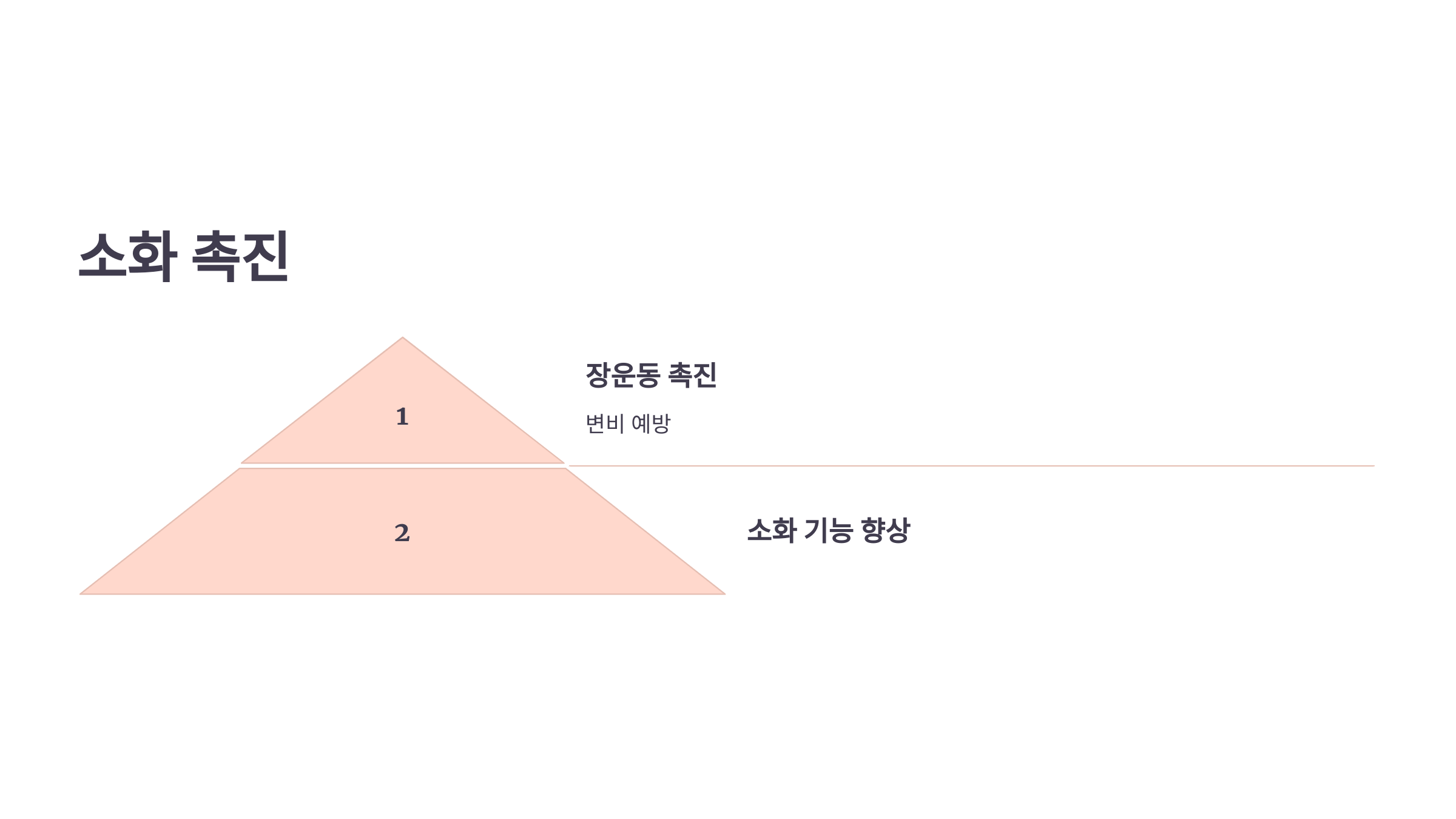 팥 사진입니다.