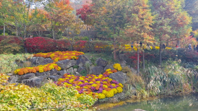 단풍명소_화담숲_하경정원