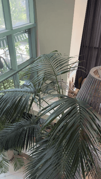 정자동 엑성프로방스 카페 2층에서 내려다본 내부 &ndash; 큰 창과 초록 식물들로 시원하게 트인 뷰