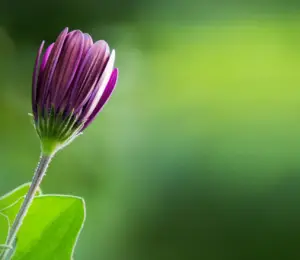 좋은글귀-이미지-사진