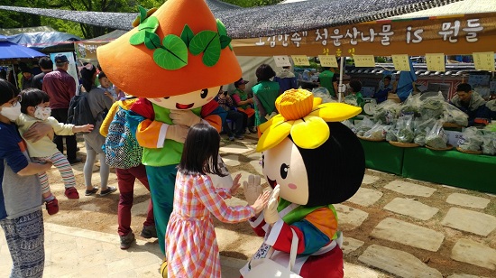 용문산 산나물 축제