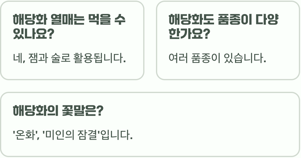 바닷가에서 피는 장미, 해당화와 일반 장미의 결정적 차이점 3가지
