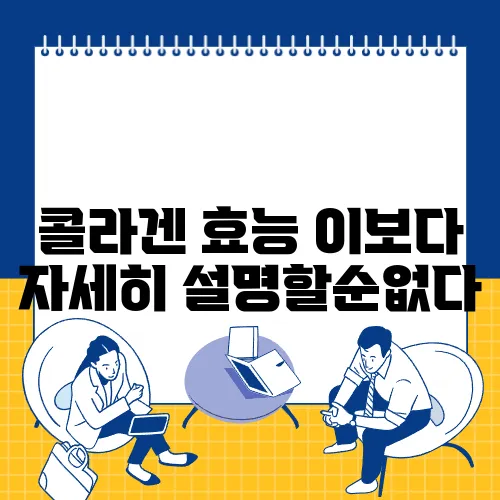 콜라겐 효능 이보다 자세히 설명할순없다