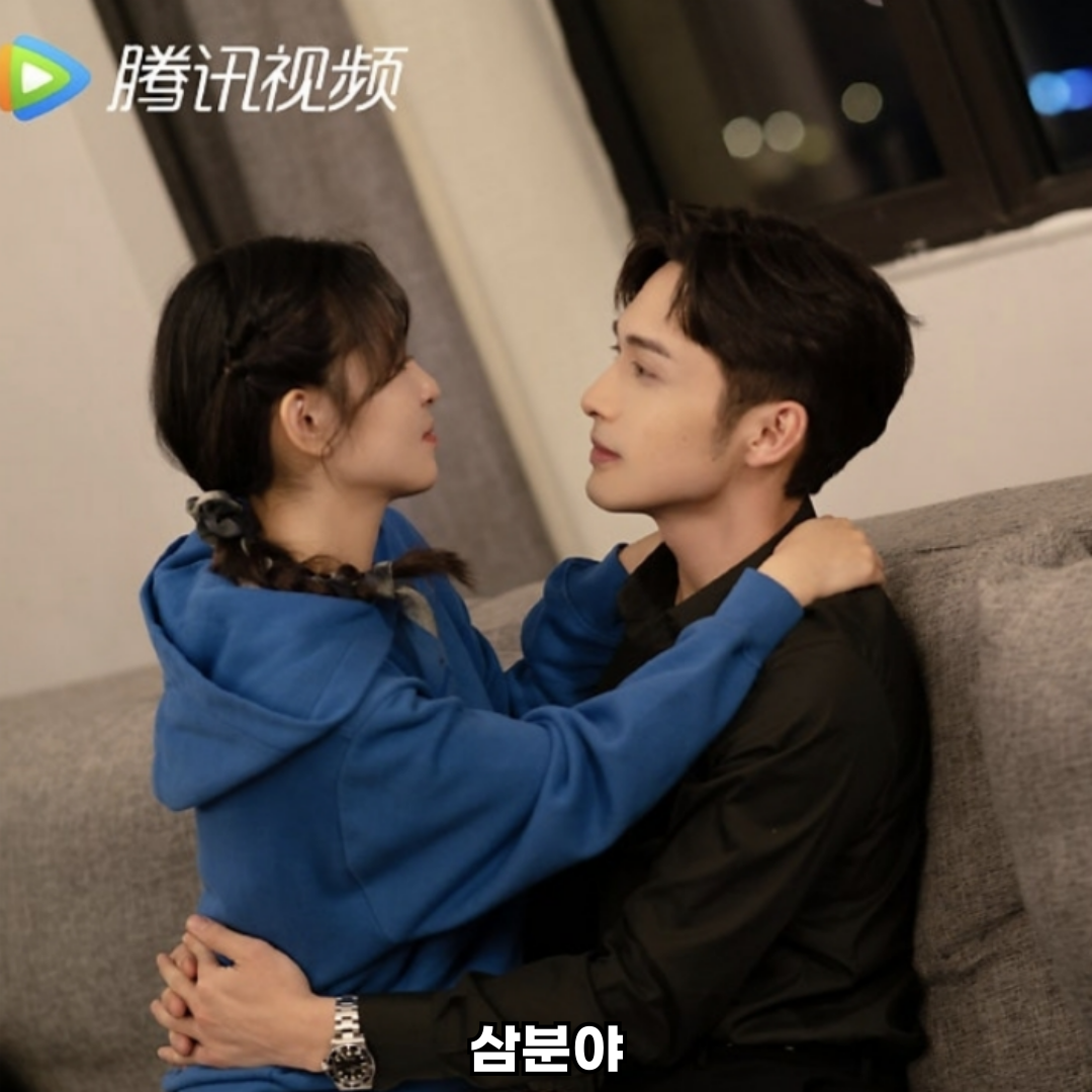 삼분야 중드 로맨스