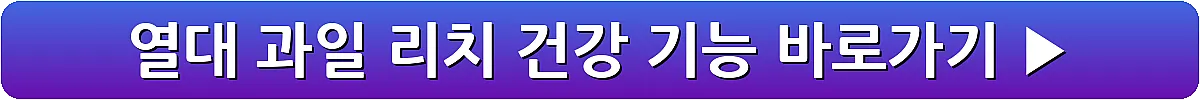 열대 과일 리치 건강 기능_11