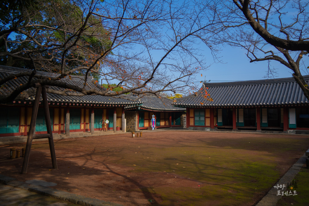 제주 삼성혈 벚꽃명소