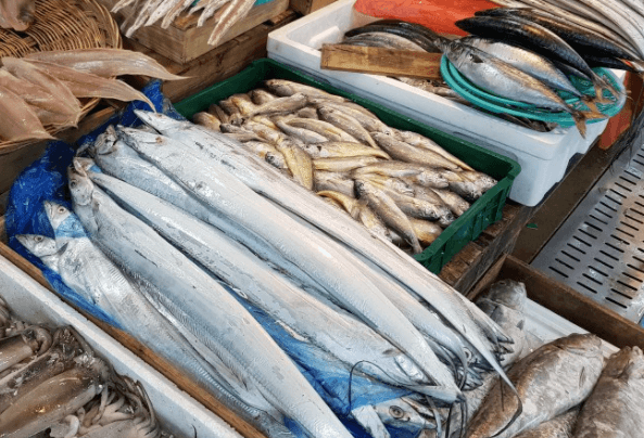 수산시장에-전시된갈치