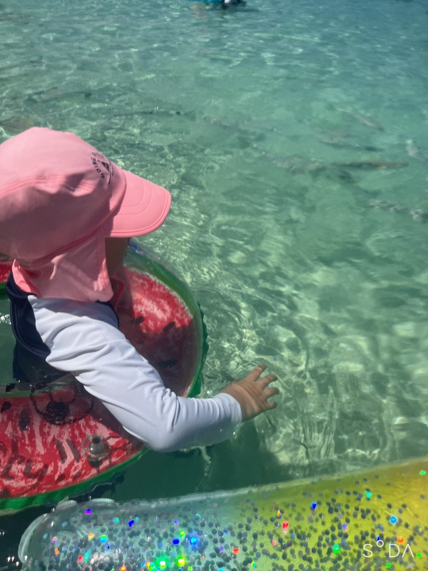 사이판 마나가하섬 튜브타고 물고기 관찰