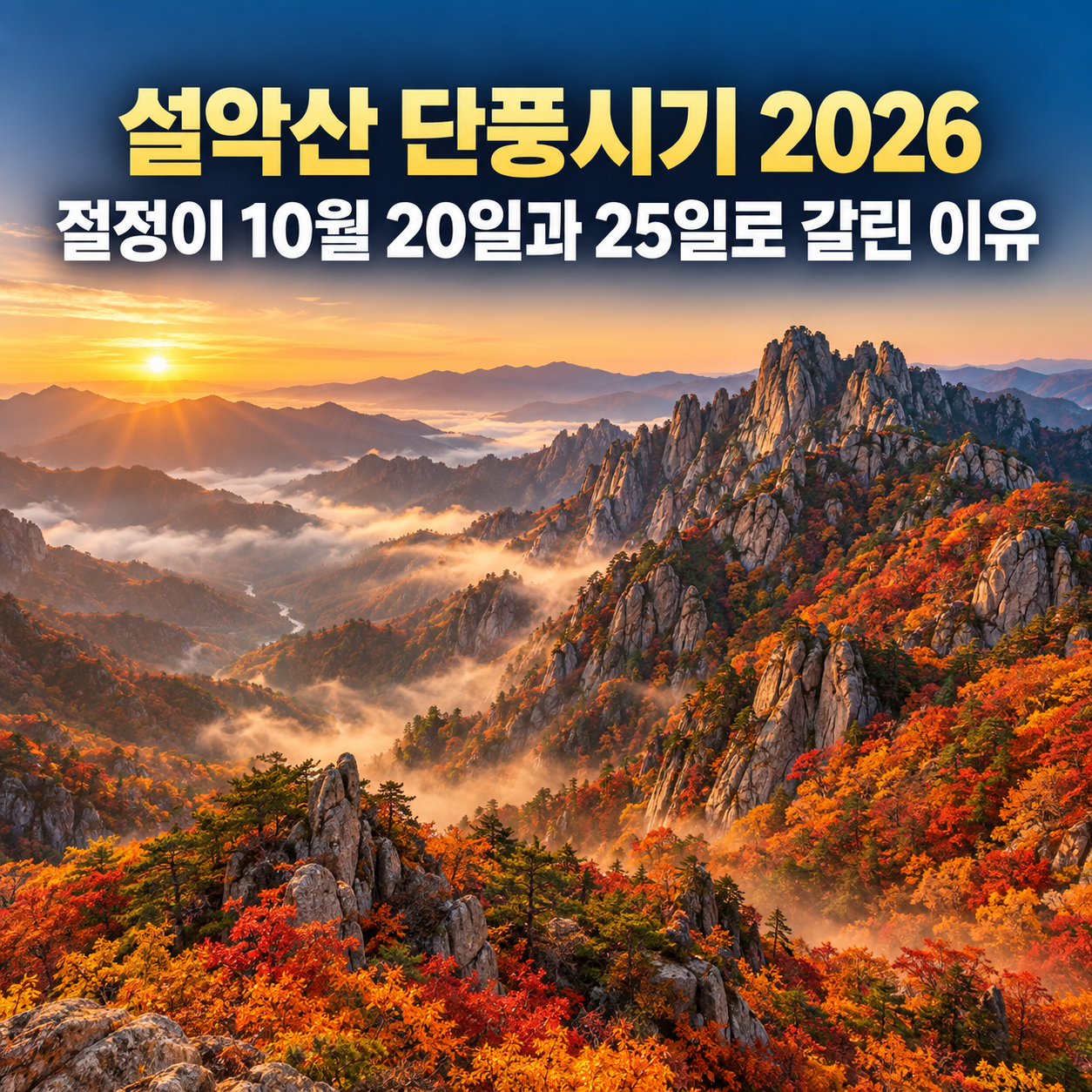 설악산 단풍시기 2026, 절정이 10월 20일과 25일로 갈린 이유
