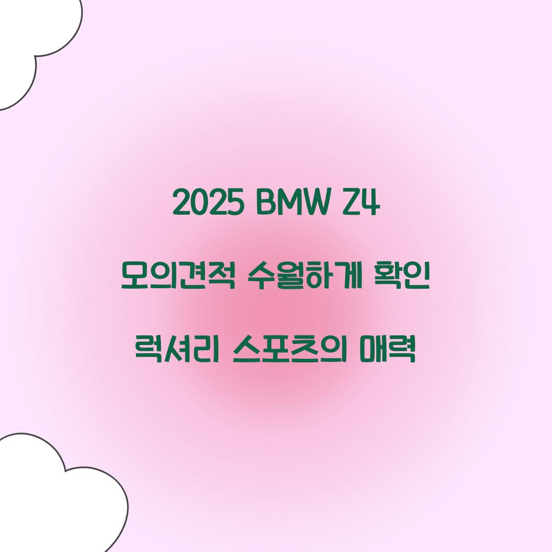 2025 BMW Z4 모의견적