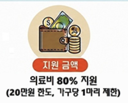 대구 반려동물 지원금