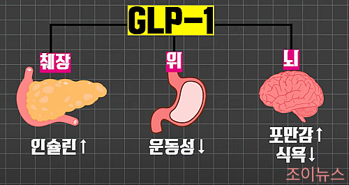 위고비란?