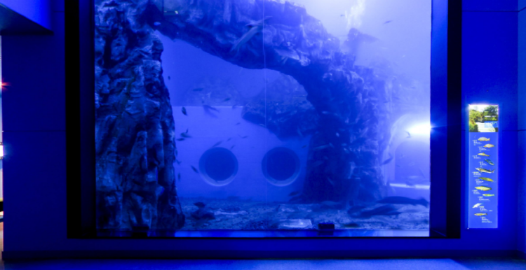 단양 아쿠아리움