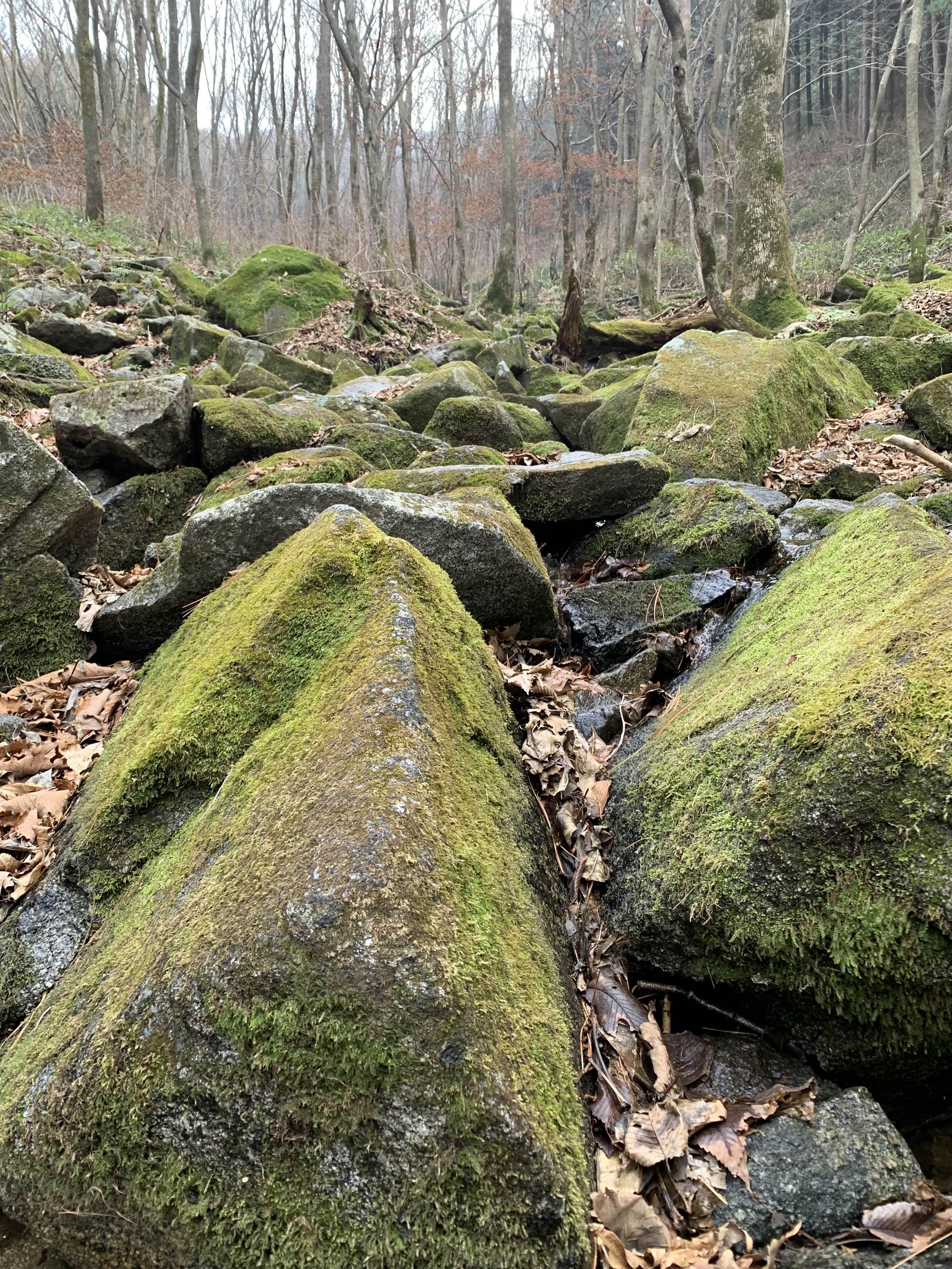횡성 여행 청태산 자연휴양림