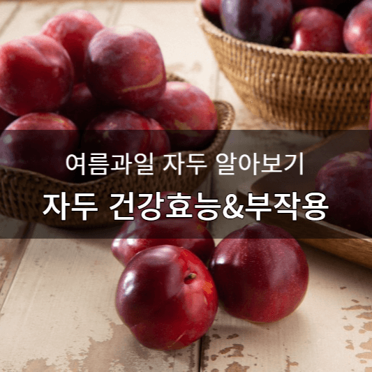자두 효능 부작용
