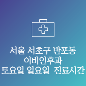 서울 서초구 반포동 이비인후과 주말 토요일 일요일 문여는 병원 진료시간