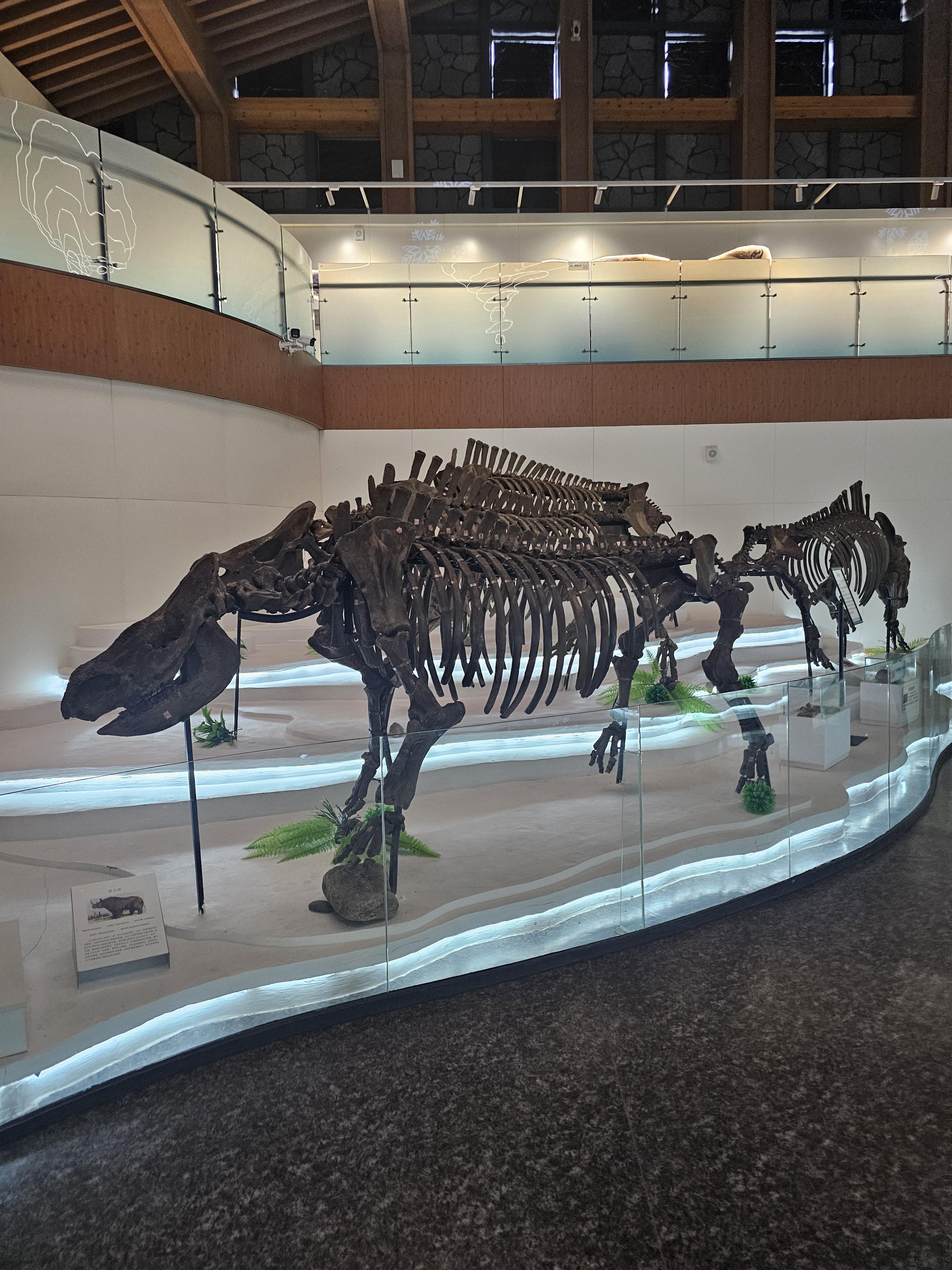 장백산 매머드 테마파크