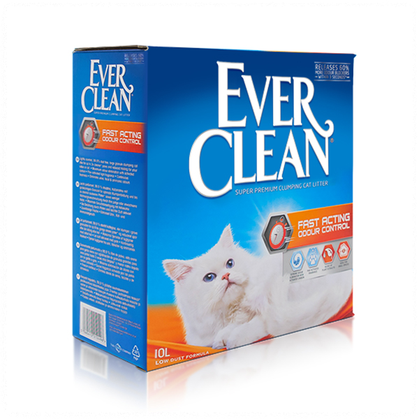 고양이 모래 추천 best 5