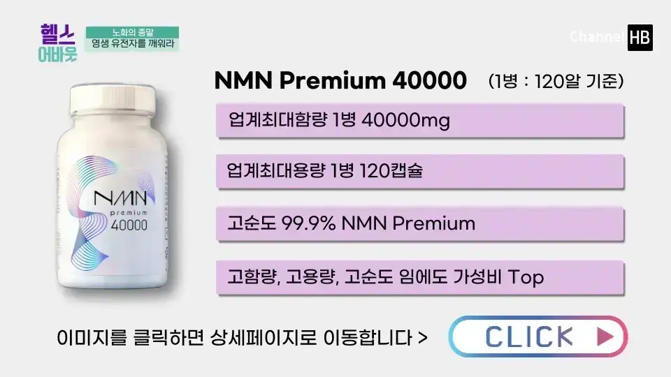NMN이란