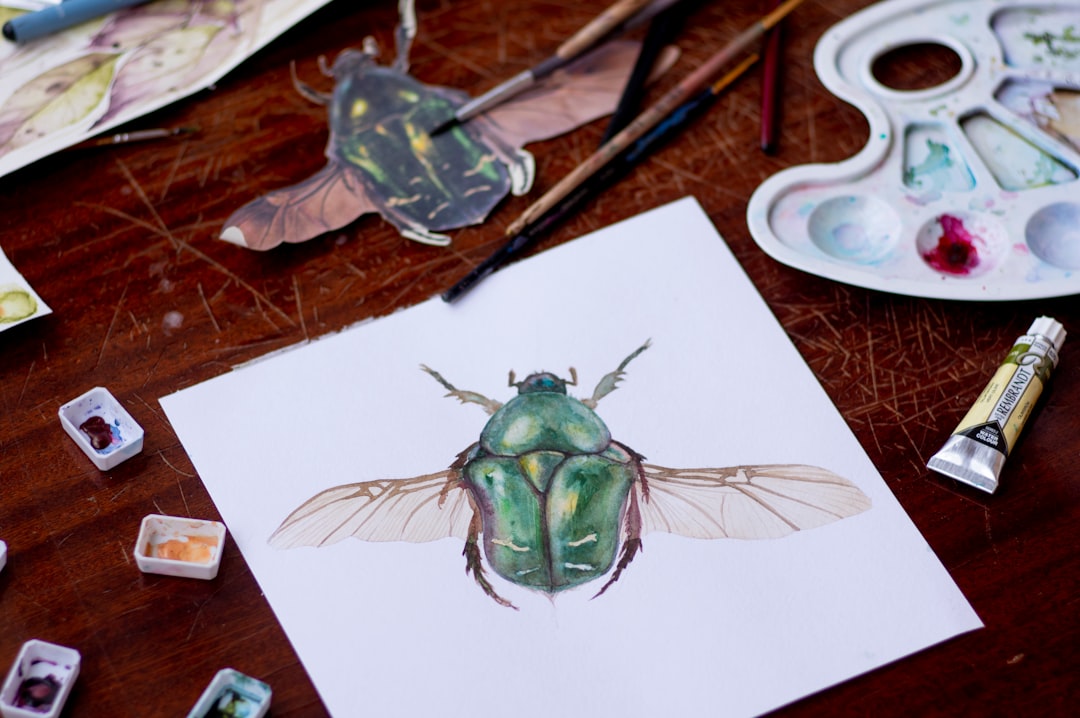 Beetle