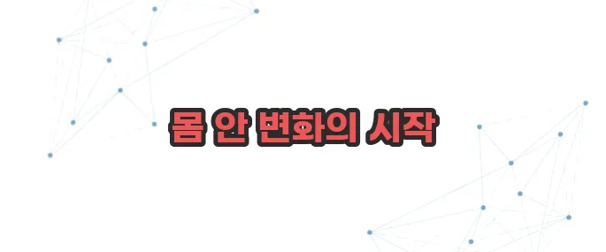 마그네슘 부족현상 이보다 자세히 설명할순없다