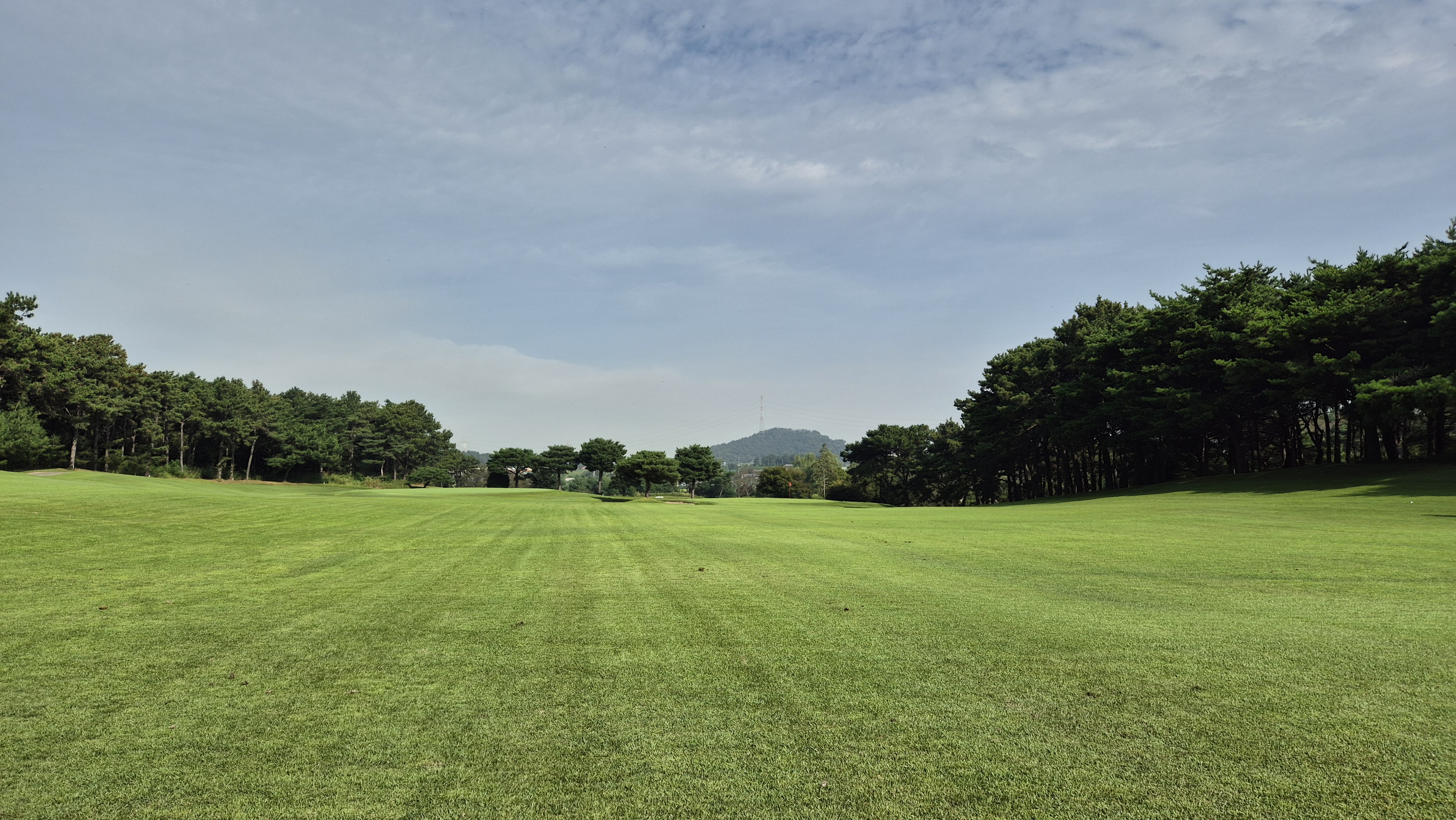 도고cc 코스 사진 및 공략 정보