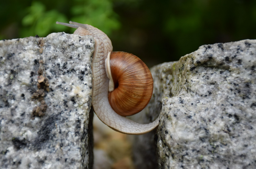 하기 싫은 일을 해내는 힘