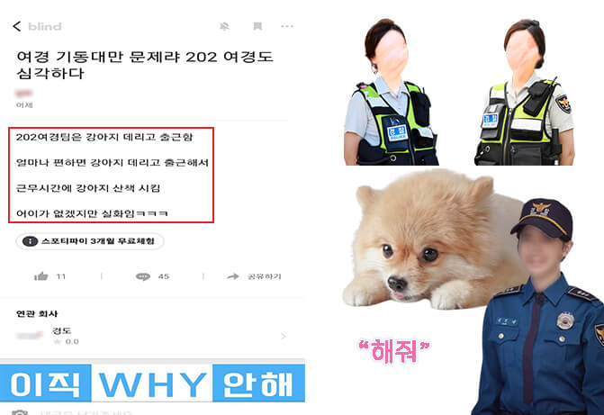 블라인드에 폭로된 여경 출근길 강아지 데려와 논란 (+결말)