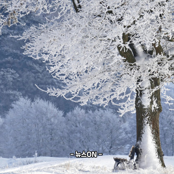 1월에 가볼만한 국내 여행지