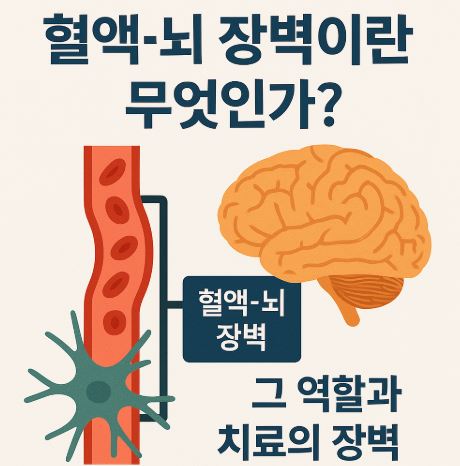 혈액과 뇌 장벽의 관계를 보여주는 이미지