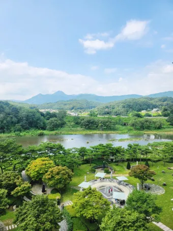 양평 가볼만한곳 베스트10 두물머리 연잎핫도그_3
