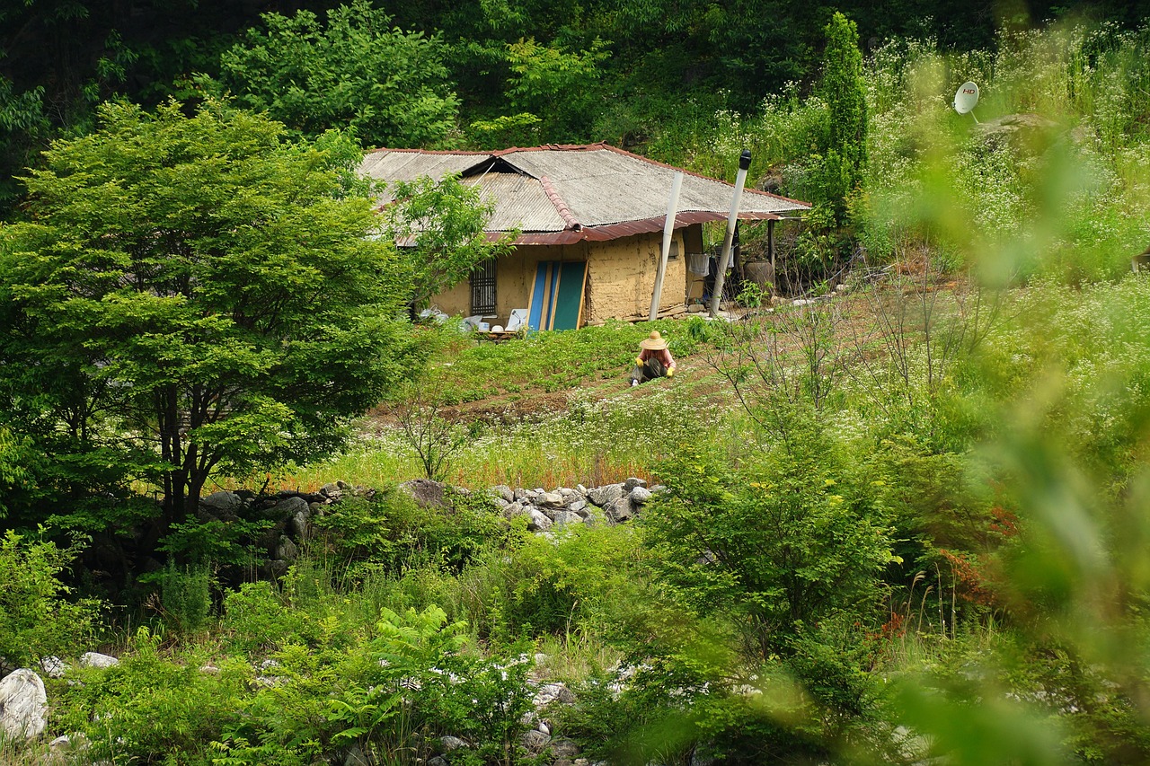 깎아지른 산비탈에 자리 잡은 삶 관련 사진