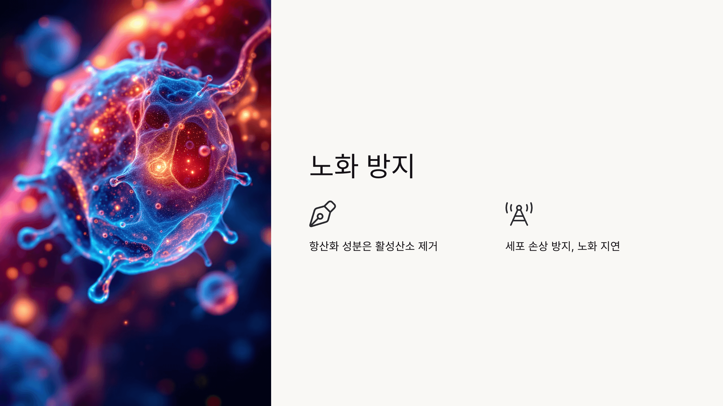 당귀 사진입니다.