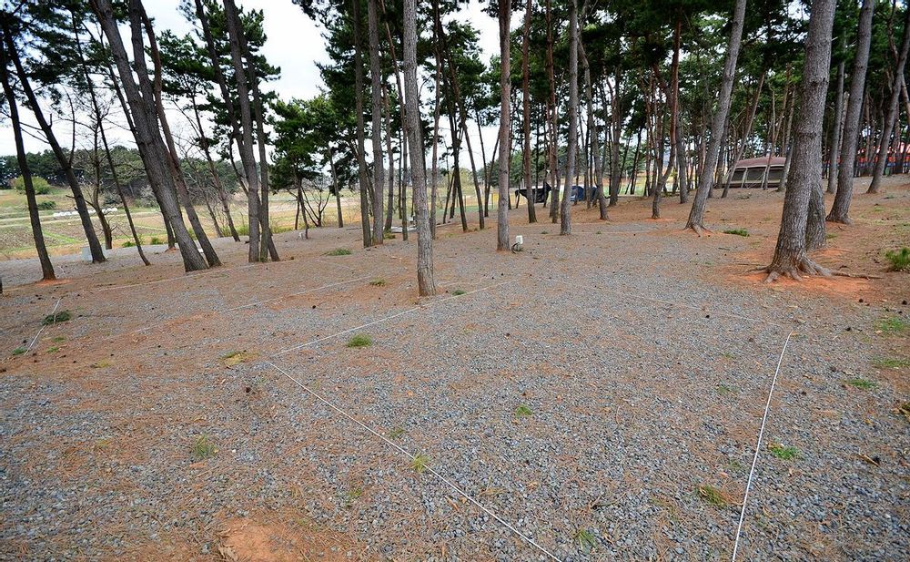 충남 서천 늘푸른캠핑장 소개