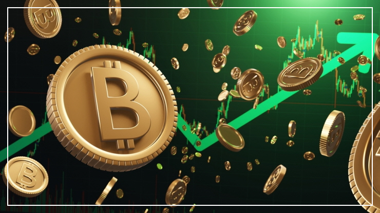 비트코인 도미넌스