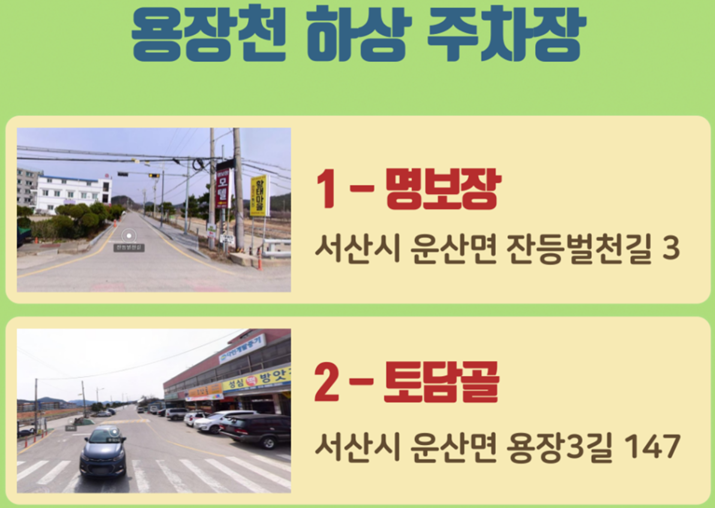 서산 유기방가옥 수선화 축제