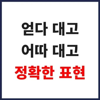 어따대고 얻다대고 맞춤법 맞는 표현_23